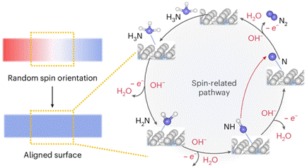圖示 AI 生成的內(nèi)容可能不正確。